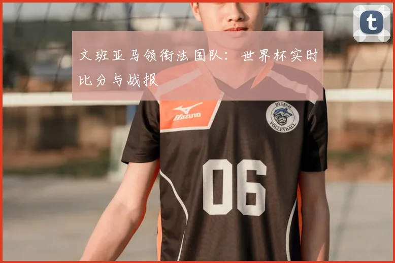 文班亚马领衔法国队：世界杯实时比分与战报